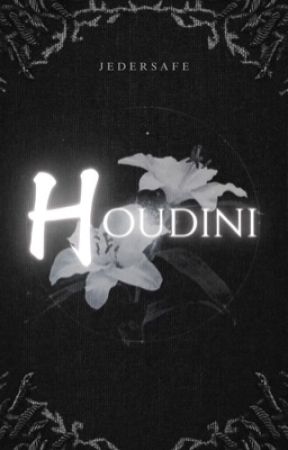 Houdini by jedersafe