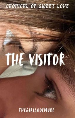 The Visitor  cover