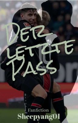 Der letzte Pass cover