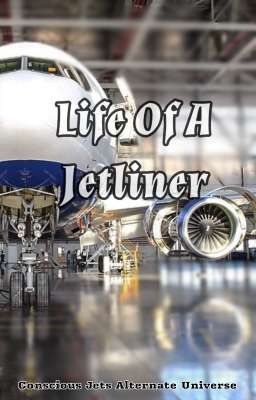 The Life Of A Jetliner cover