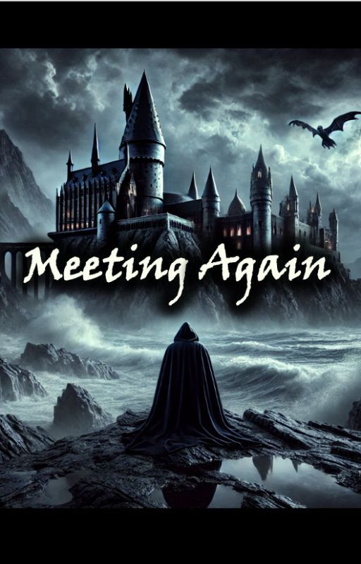 Meeting Again by HogwartsHierarchies1