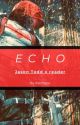 ECHO (Jason Todd x reader) by mochapa