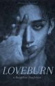 LOVEBURN //BangChan by auroraflavoured