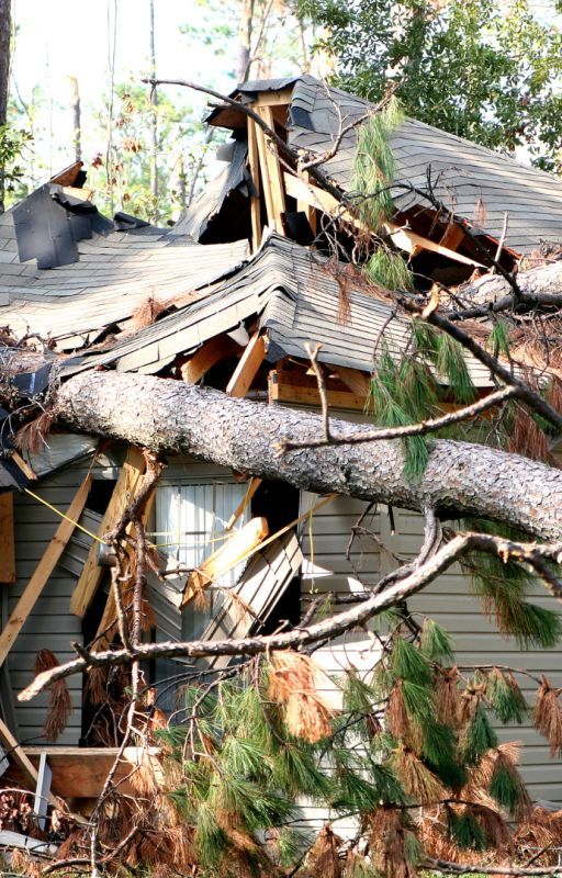 From Inspection to Repair: How to Handle Hail Damage on Your Roof by daniel90bell