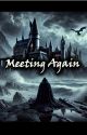 Meeting Again by HogwartsHierarchie