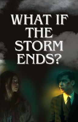 What If The Storm Ends? cover