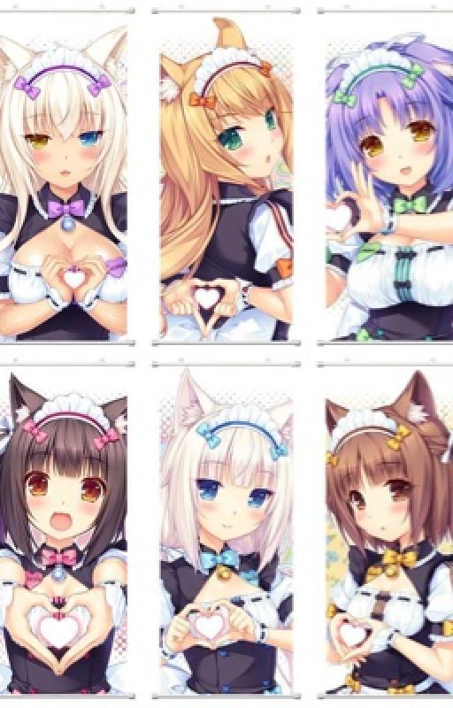 Whiskers and Pasteries: A Dish Made For Love (Nekopara x Male Reader) by IceacGalaxy