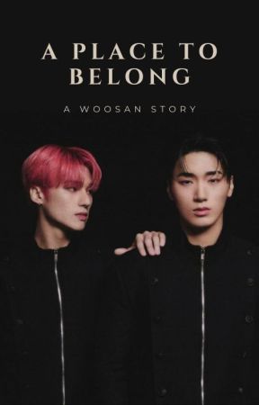 A Place to Belong - A Woosan Novel by Wowoosan