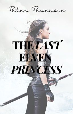 The Last Elven Princess cover