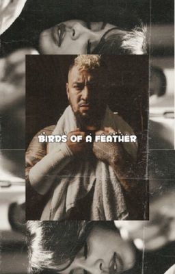 BIRDS OF A FEATHER cover