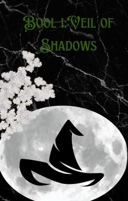 Book 1: Veil of Shadows cover