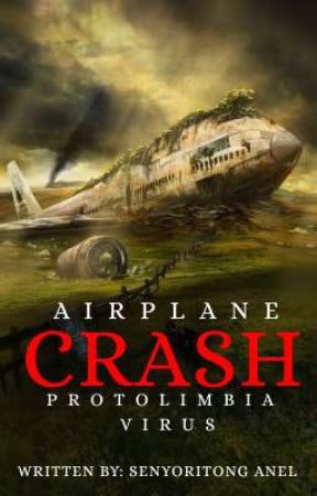 Z: Airplane crash by AnelSenyorito