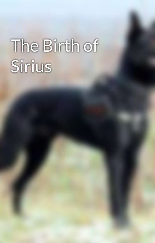 The Birth of Sirius by FanfictionMe1998