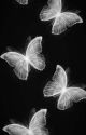 butterfly effect by walantie