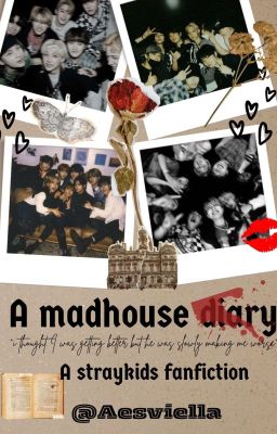 A Madhouse diary - straykids fanfiction cover