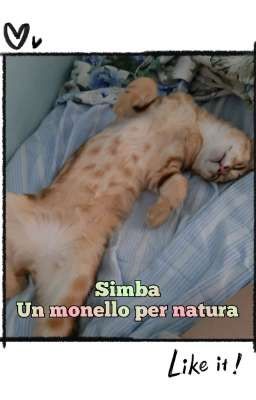 Simba: Un monello per natura  cover