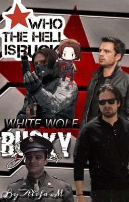 Bucky Barnes X  Y/n Oneshots. cover