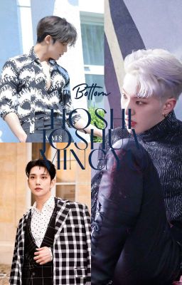 Bottom Hoshi, Mingyu and Joshua oneshots. cover