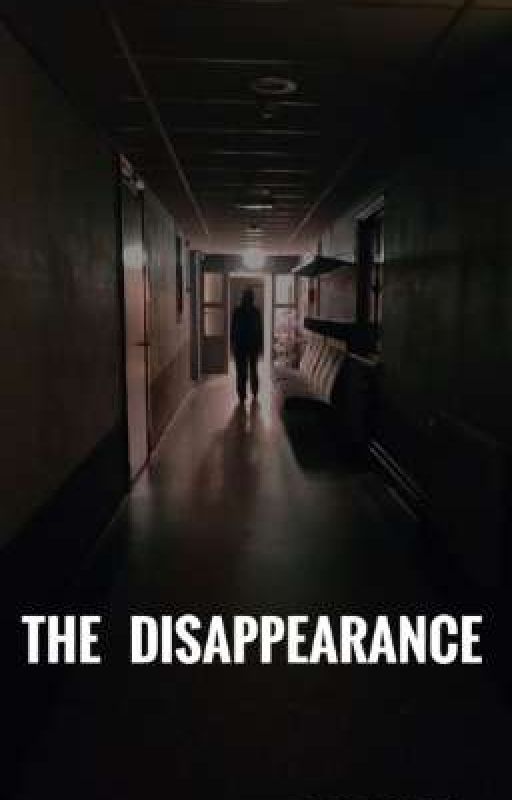 THE DISAPPEARANCE  by jnbwrites