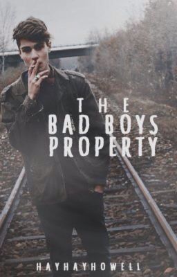 The Bad Boy's Property (WATTYS 2017) cover