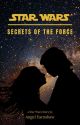 Secrets of the Force: A Star Wars Story by angl_ernshw