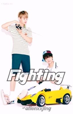 Fighting cover