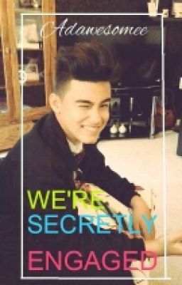 We're Secretly Engaged [Bailey May Fanfict] cover