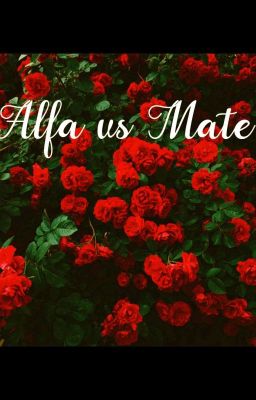 Alfa vs Mate cover