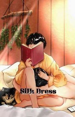 Silk Dress cover