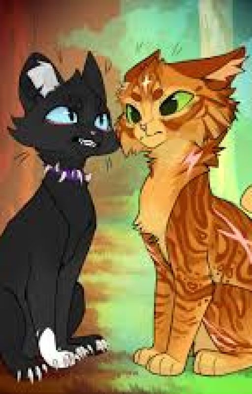 Avenge. (A Warrior Cats AU) by WC_Fan_Bloodclaw