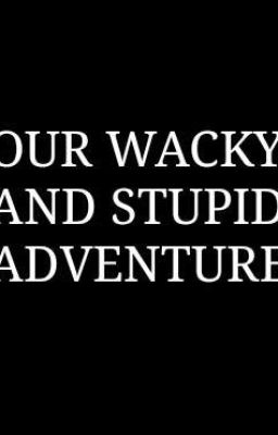 our wacky and stupid adventure cover