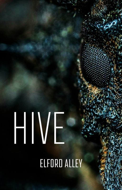 Hive by elfordalley