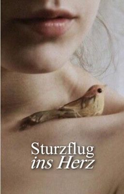 Sturzflug ins Herz || txs cover