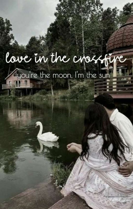 Love in the crossfire  by tubssworld