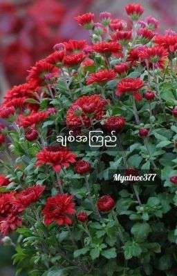 ချစ်အကြည် (Unicode / Zawgyi) cover