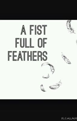 A Fist Full of Feathers cover