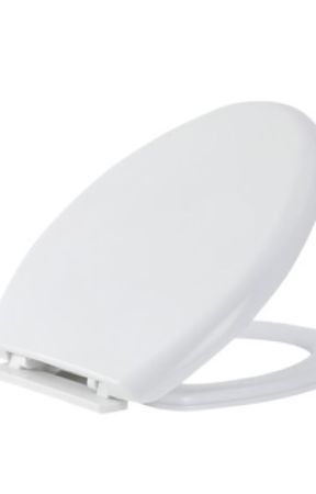 Plastic Toilet Seat by lnnier