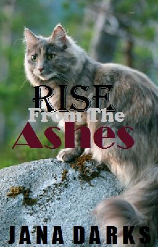 Rise From The Ashes (Warriors Fan-fic) by jd4_with_love