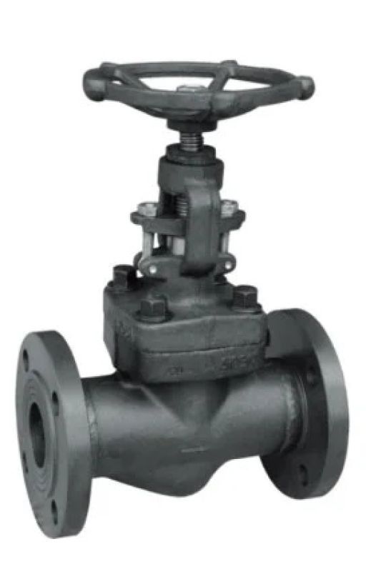 Angle Globe Valve by gangye-valve