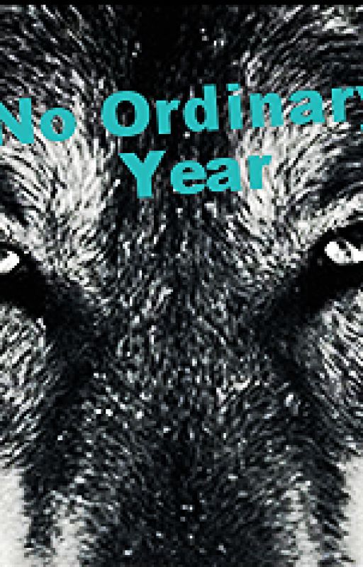 No Ordinary Year (A Merome Story) [ON HOLD] by BlazerWolf14