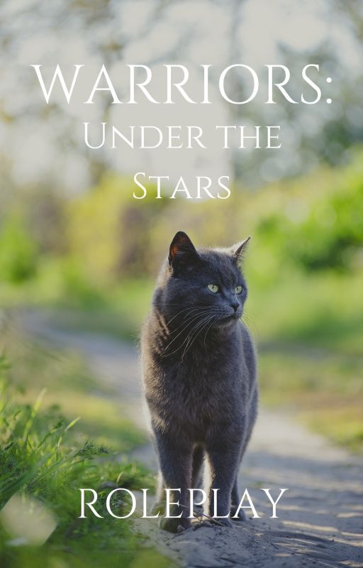 Warrior Cats: Under the Stars - RolePlay by 1SleepyWaffle1