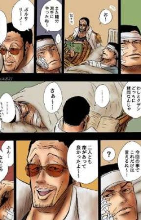 (Remake) Kizaru x Akainu  by Austrioja134