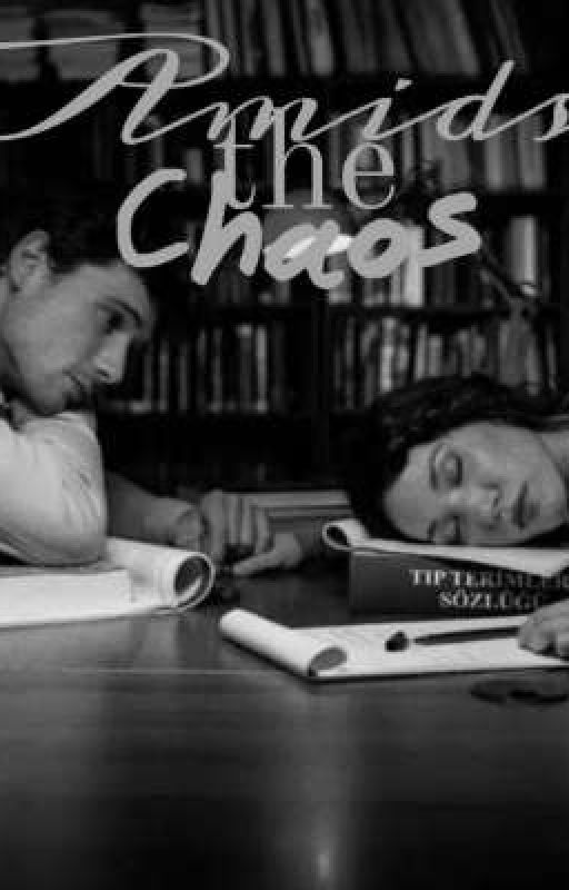 Amidst The Chaos : A Tale of Love And Turmoil.  by thoushallfly