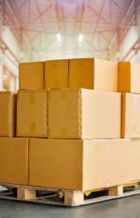 The Future of Warehousing: Flexible, Smart, and Scalable by bhavanamishraab