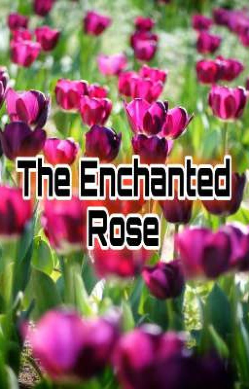 The Enchanted Rose by Rashmiangadi