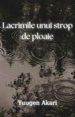 Lacrimile unui strop de ploaie cover