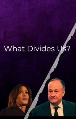 What Divides Us? cover