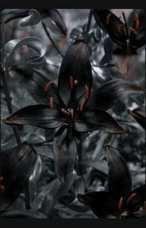 False Lily Project by underfrost666