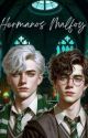 Hermanos Malfoy by Valeriyeye