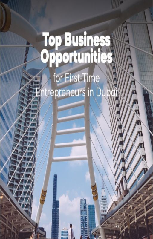 Top Business Opportunities for First-Time Entrepreneurs in Dubai by abdurr98